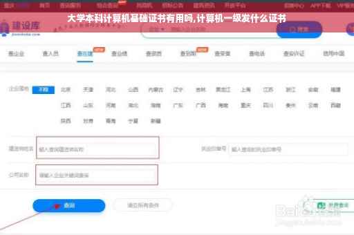 大学本科计算机基础证书有用吗,计算机一级发什么证书