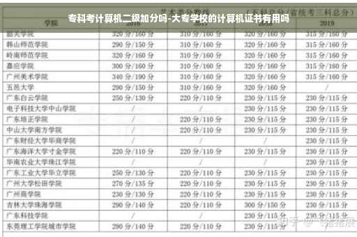 专科考计算机二级加分吗-大专学校的计算机证书有用吗