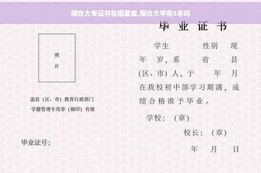 烟台大专证书在哪里查,烟台大学有3本吗
