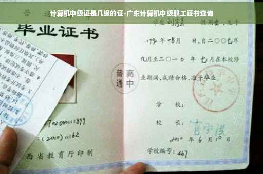 计算机中级证是几级的证-广东计算机中级职工证书查询