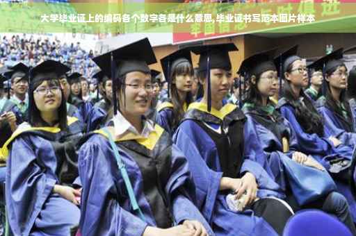 大学毕业证上的编码各个数字各是什么意思,毕业证书写范本图片样本