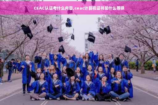 CEAC认证考什么内容,ceac计算机证书是什么等级