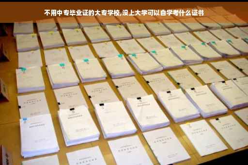 不用中专毕业证的大专学校,没上大学可以自学考什么证书