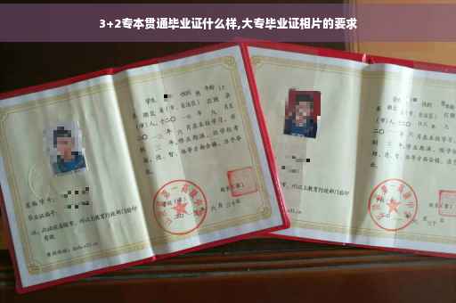 3+2专本贯通毕业证什么样,大专毕业证相片的要求