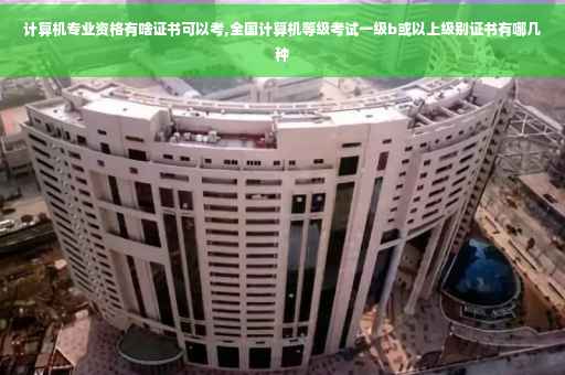 计算机专业资格有啥证书可以考,全国计算机等级考试一级b或以上级别证书有哪几种 计算机专业资格有啥证书可以考,全国计算机等级考试一级b或以上级别证书有哪几种