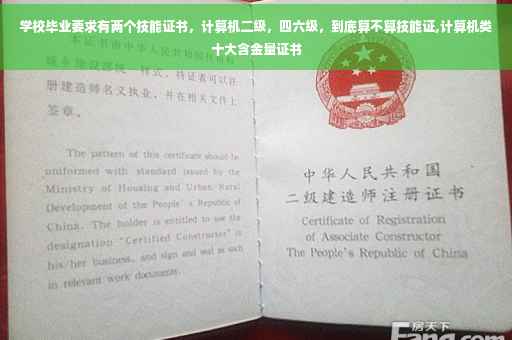 学校毕业要求有两个技能证书，计算机二级，四六级，到底算不算技能证,计算机类十大含金量证书