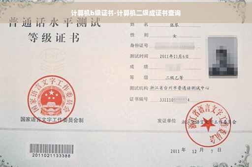 计算机b级证书-计算机二级成证书查询