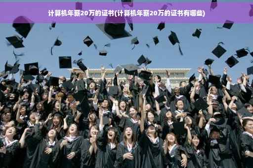 计算机年薪20万的证书(计算机年薪20万的证书有哪些)