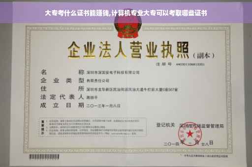 大专考什么证书能赚钱,计算机专业大专可以考取哪些证书