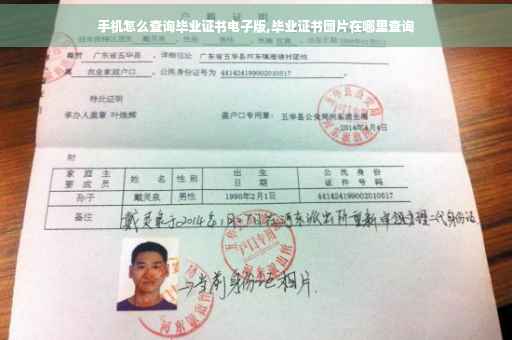 手机怎么查询毕业证书电子版,毕业证书图片在哪里查询