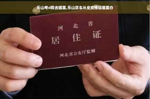 乐山考d照去哪里,乐山货车从业资格证哪里办