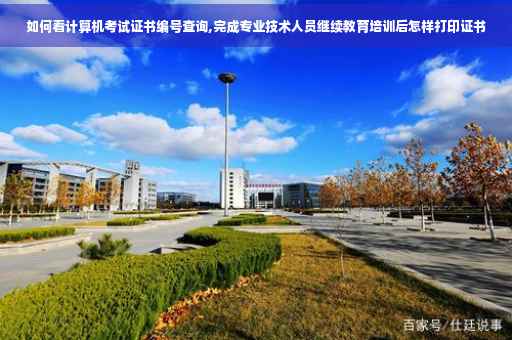 如何看计算机考试证书编号查询,完成专业技术人员继续教育培训后怎样打印证书