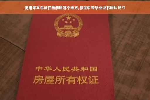 衡阳考叉车证在蒸湘区哪个地方,祁东中专毕业证书图片尺寸