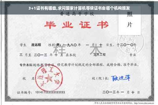 3+1证书有哪些,求问国家计算机等级证书由哪个机构颁发