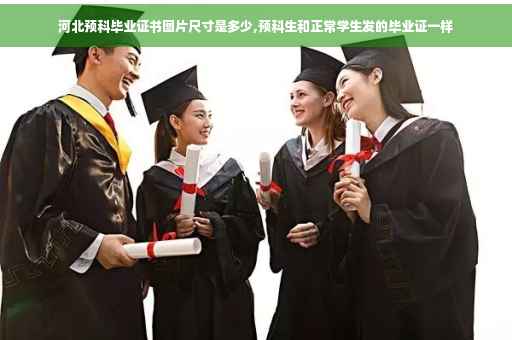 河北预科毕业证书图片尺寸是多少,预科生和正常学生发的毕业证一样