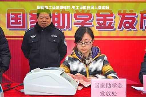 国网电工证是啥样的,电工证能在网上查询吗