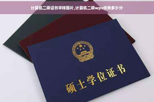 计算机二级证书字样图片,计算机二级wps优秀多少分