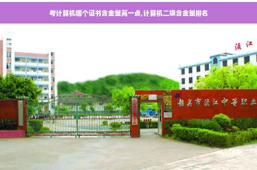考计算机哪个证书含金量高一点,计算机二级含金量排名