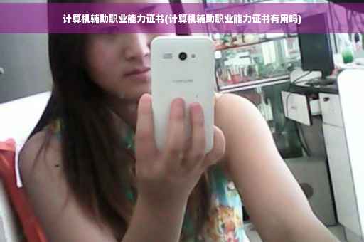 计算机辅助职业能力证书(计算机辅助职业能力证书有用吗)