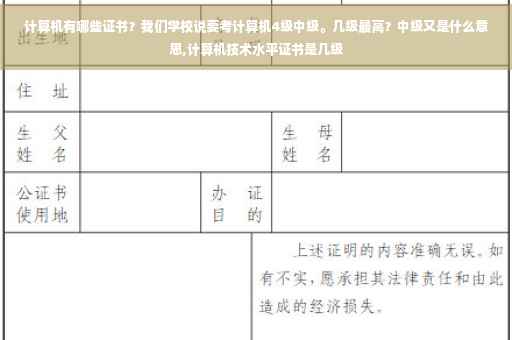 计算机有哪些证书？我们学校说要考计算机4级中级。几级最高？中级又是什么意思,计算机技术水平证书是几级