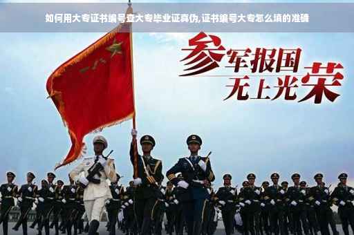 如何用大专证书编号查大专毕业证真伪,证书编号大专怎么填的准确