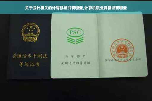 关于会计相关的计算机证书有哪些,计算机职业资格证有哪些