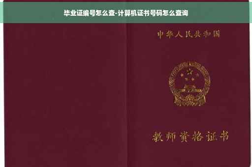 毕业证编号怎么查-计算机证书号码怎么查询