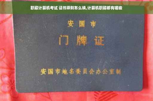 职称计算机考试 证书级别怎么填,计算机职称都有哪些