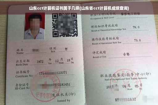 山东cct计算机证书属于几级(山东省cct计算机成绩查询)