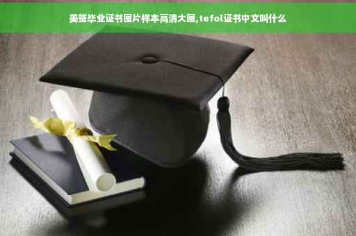美签毕业证书图片样本高清大图,tefol证书中文叫什么