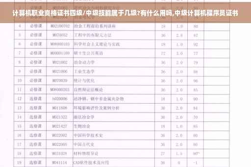 计算机职业资格证书四级/中级技能属于几级?有什么用吗,中级计算机程序员证书