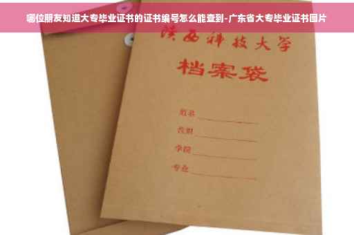 哪位朋友知道大专毕业证书的证书编号怎么能查到-广东省大专毕业证书图片