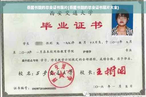 岳麓书院的毕业证书图片(岳麓书院的毕业证书图片大全)