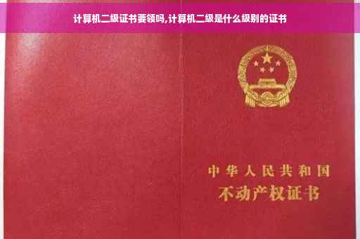 计算机二级证书要领吗,计算机二级是什么级别的证书