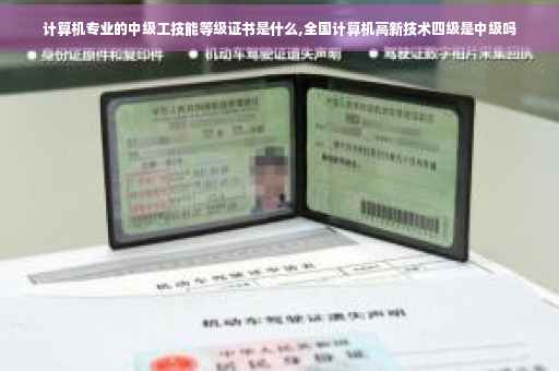 计算机专业的中级工技能等级证书是什么,全国计算机高新技术四级是中级吗