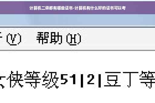 计算机二级都有哪些证书-计算机有什么好的证书可以考