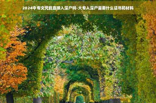 2024中专文凭能直接入深户吗-大专入深户需要什么证书和材料