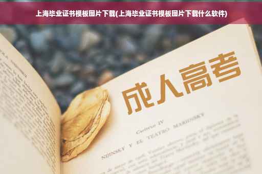 上海毕业证书模板图片下载(上海毕业证书模板图片下载什么软件)