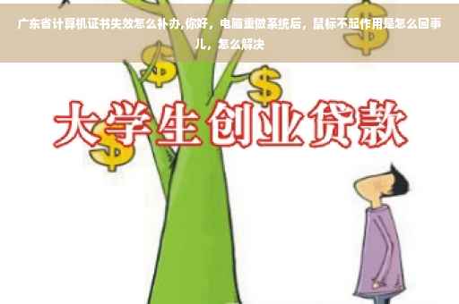 广东省计算机证书失效怎么补办,你好，电脑重做系统后，鼠标不起作用是怎么回事儿，怎么解决