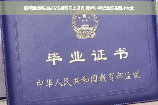 新桥派出所办站住证星期天上班吗,新桥小学毕业证书图片大全
