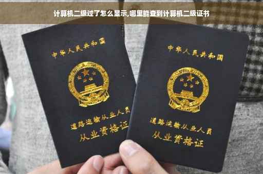计算机二级过了怎么显示,哪里能查到计算机二级证书