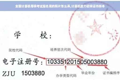 全国计算机等级考试报名用的照片怎么弄,计算机能力初级证书样本
