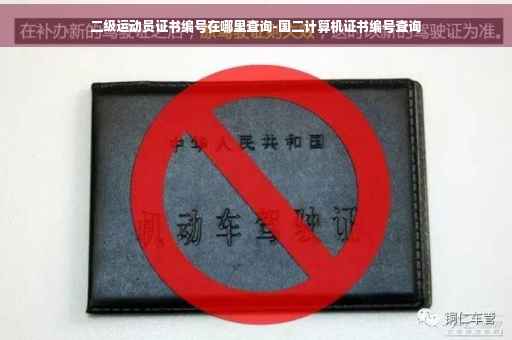 二级运动员证书编号在哪里查询-国二计算机证书编号查询