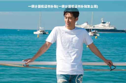 一级计算机证书补贴(一级计算机证书补贴怎么领)