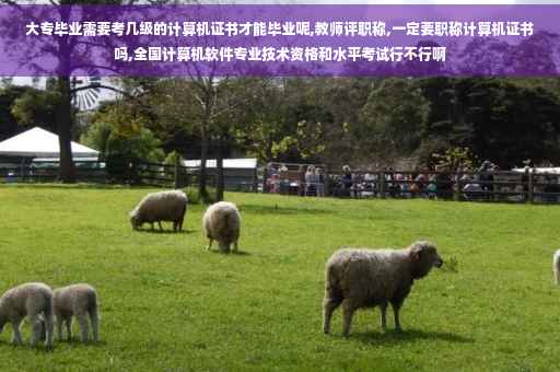 大专毕业需要考几级的计算机证书才能毕业呢,教师评职称,一定要职称计算机证书吗,全国计算机软件专业技术资格和水平考试行不行啊