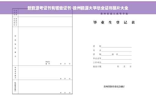 新能源考证书有哪些证书-徐州能源大学毕业证书图片大全