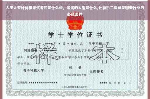 大学大专计算机考试考的是什么证，考试的大纲是什么,计算机二级证是哪些行业的必须条件