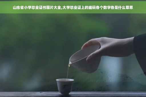 山东省小学毕业证书图片大全,大学毕业证上的编码各个数字各是什么意思