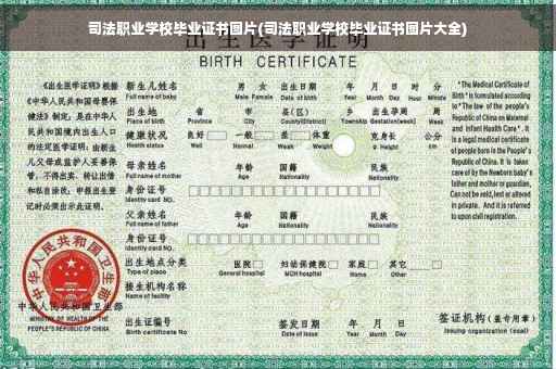 司法职业学校毕业证书图片(司法职业学校毕业证书图片大全)