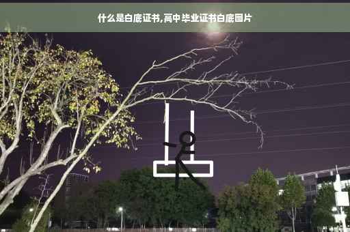 什么是白底证书,高中毕业证书白底图片